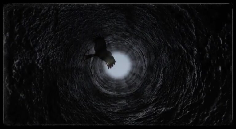 Image of eagle flying out of tunnel